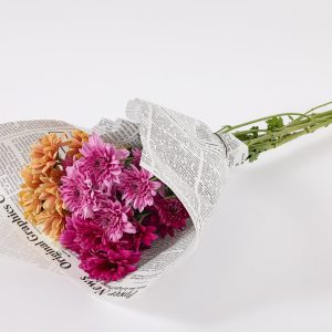 באנץ׳ חרציות צבעוני